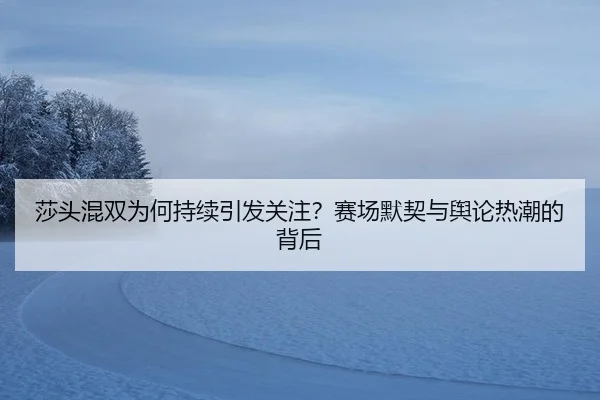 sha-tou-hun-shuang-wei-he-chi-xu-yin-fa-guan-zhu-sai-chang-mo-qi-yu-yu-lun-re-chao-de-bei-hou-2-799.jpg